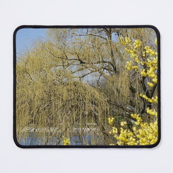 Item preview, Spring WillowWith Forsythia designed and sold by mamamur.