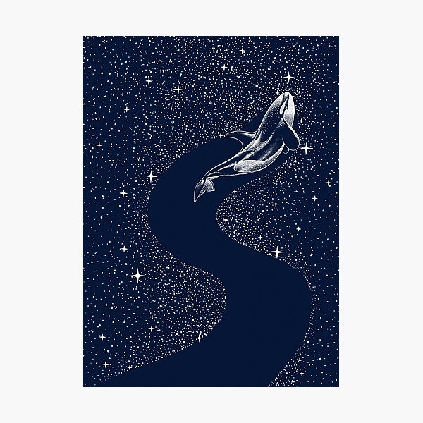 starry orca Photographic Print