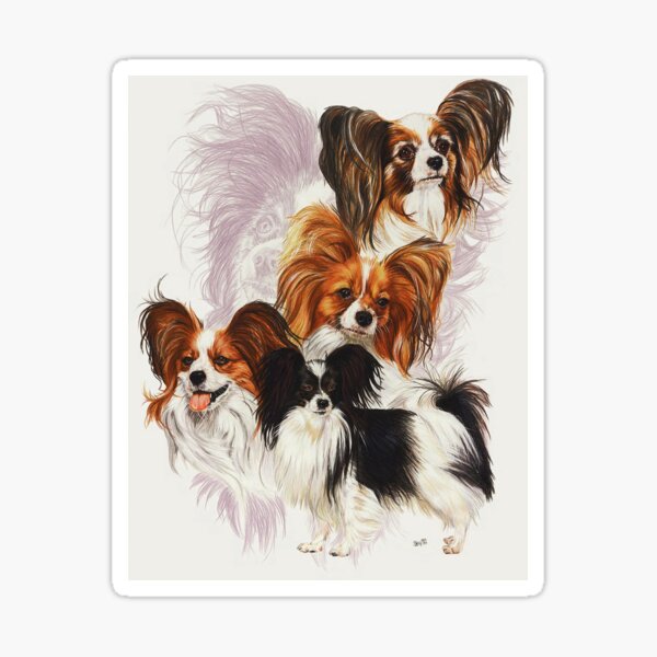 Papillon Medley Sticker