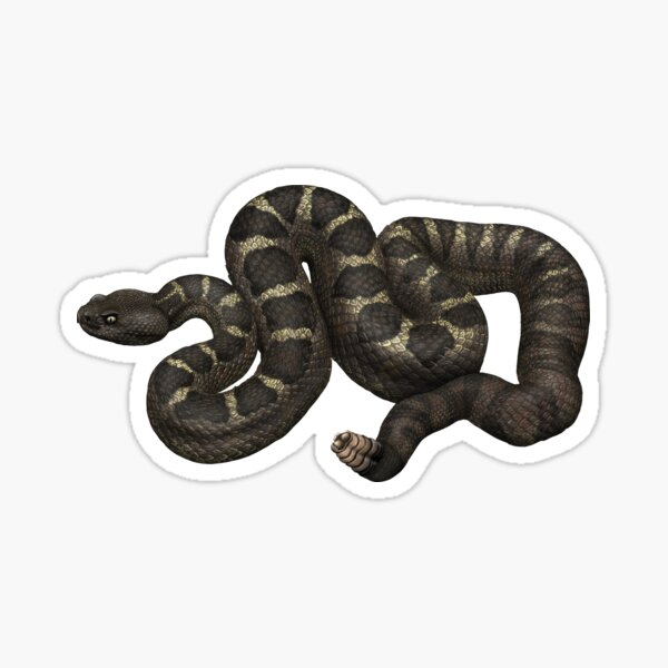 Item preview, Arizona Black Rattlesnake designed and sold by CatchItCreation.