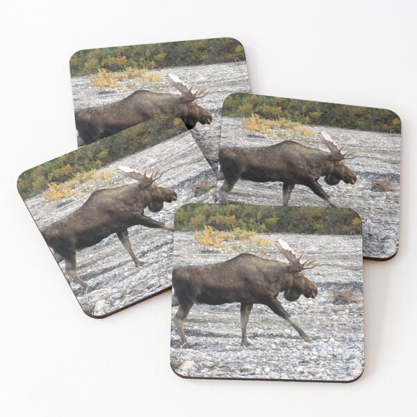 Item preview, Bull Moose in river bed designed and sold by sharkbait83.