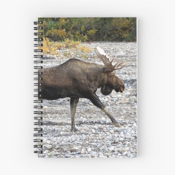 Item preview, Bull Moose in river bed designed and sold by sharkbait83.