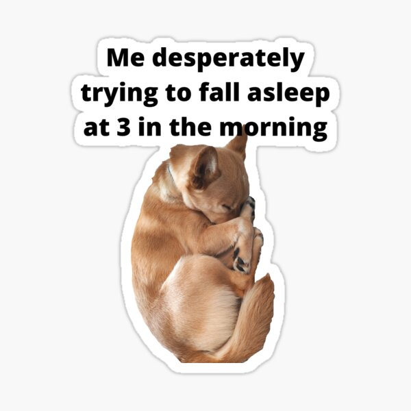 dog falling asleep in car meme