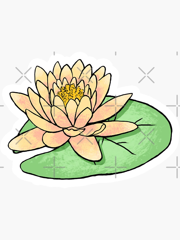 "Water Lily Lotus July Birth Month Flower " Sticker for Sale by