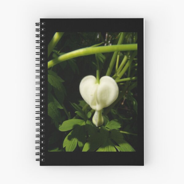 Item preview, solitary white bleeding heart macro designed and sold by Dawna Morton.