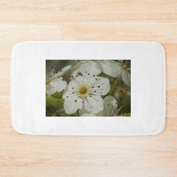 Item preview, Blossom  designed and sold by D-GaP.