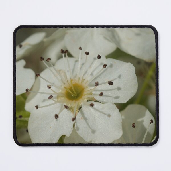 Item preview, Blossom  designed and sold by D-GaP.