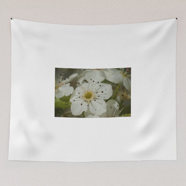 Item preview, Blossom  designed and sold by D-GaP.