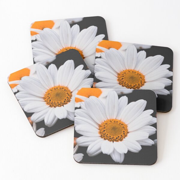 Item preview, Leucanthemum vulgare, the ox-eye daisy designed and sold by Aysa Galaxy.