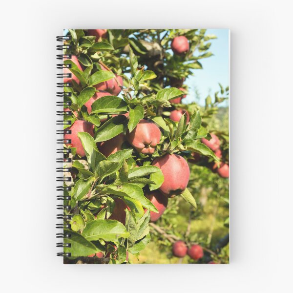 Item preview, Red Delicious Apple Tree Okanagan Valley designed and sold by Kevin Miller Photography.