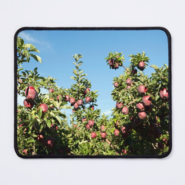 Item preview, Red Delicious Apple Tree Okanagan Valley designed and sold by Kevin Miller Photography.