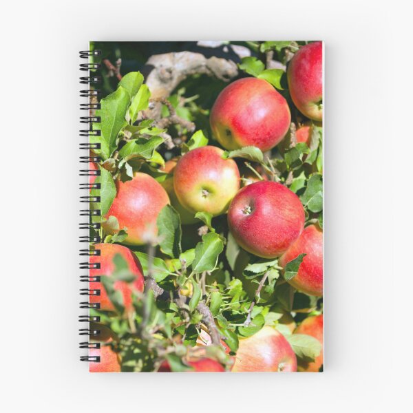 Item preview, Gala Apple Tree Orchard Okanagan Valley designed and sold by Kevin Miller Photography.