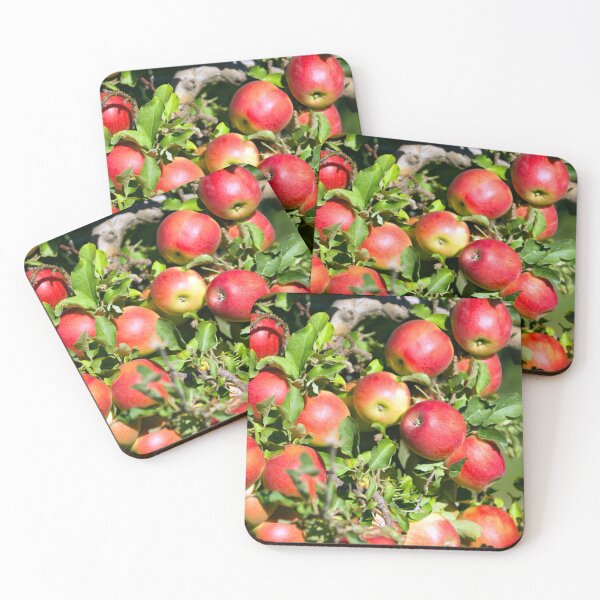 Item preview, Gala Apple Tree Orchard Okanagan Valley designed and sold by Kevin Miller Photography.