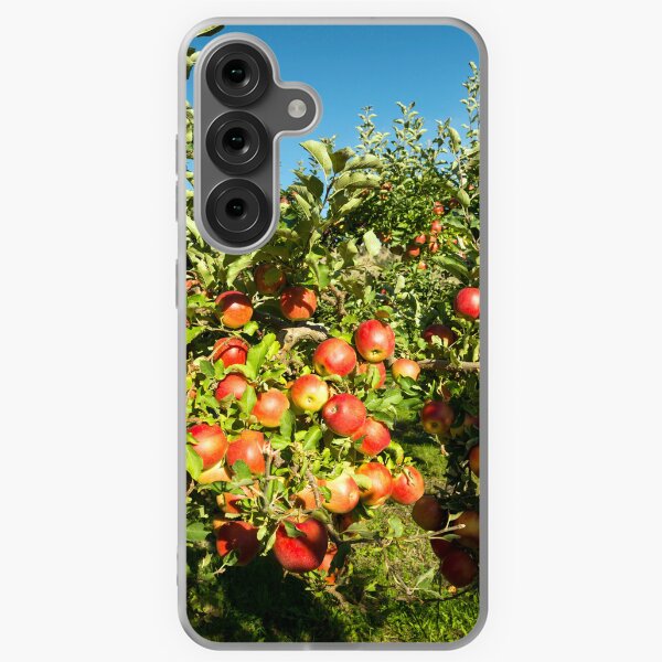 Item preview, Gala Apple Tree Orchard Okanagan Valley designed and sold by Kevin Miller Photography.
