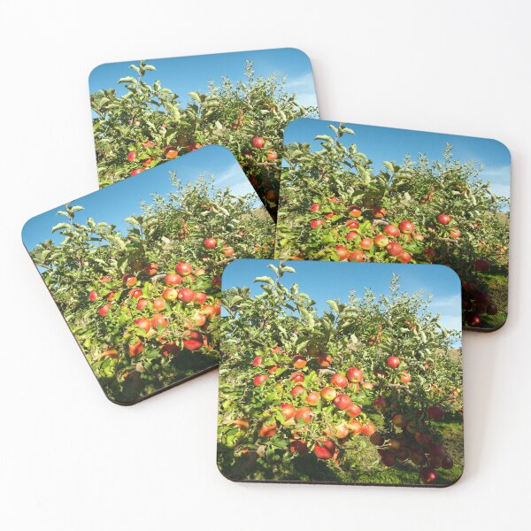 Item preview, Gala Apple Tree Orchard Okanagan Valley designed and sold by Kevin Miller Photography.