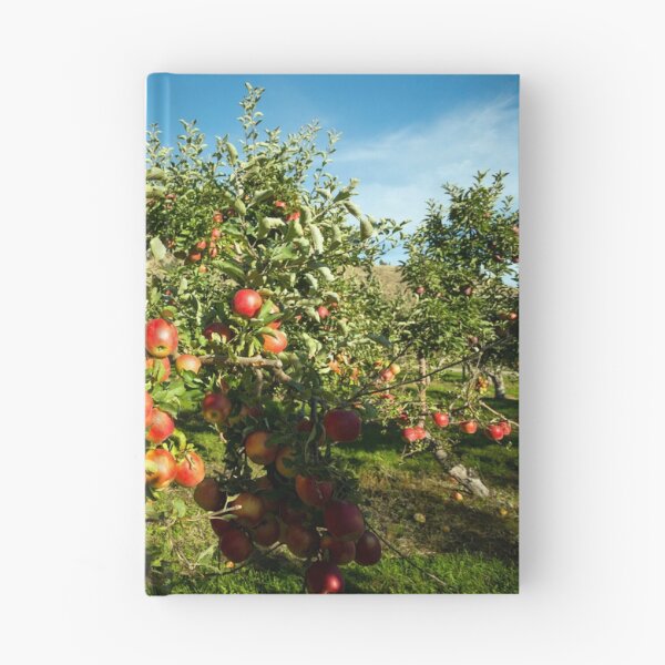 Item preview, Gala Apple Tree Orchard Okanagan Valley designed and sold by Kevin Miller Photography.