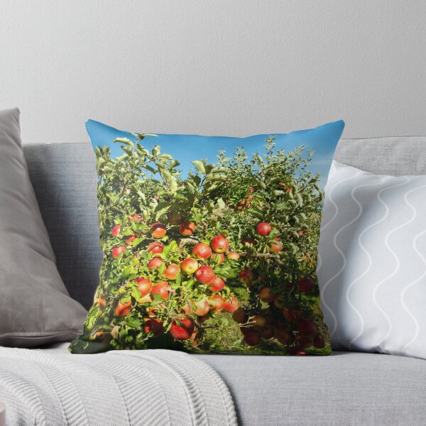 Item preview, Gala Apple Tree Orchard Okanagan Valley designed and sold by Kevin Miller Photography.