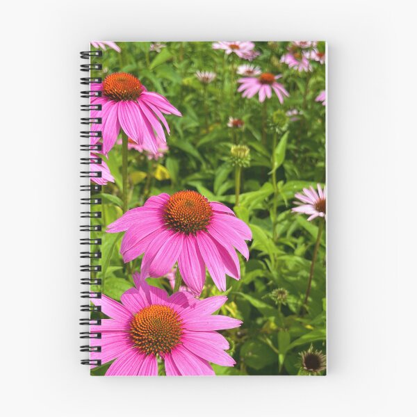 Item preview, Pink Daisy designed and sold by CharCamp.
