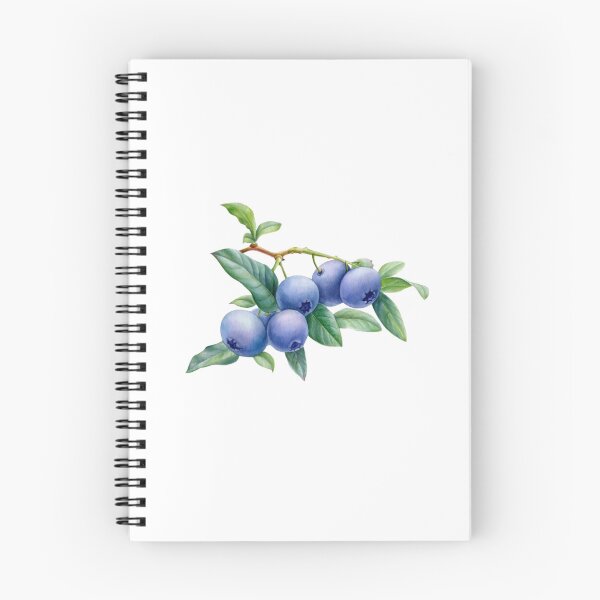 Item preview, Blueberries designed and sold by Brush-Master.