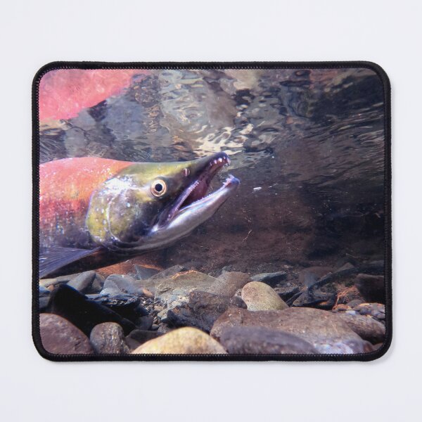 Steelhead Trout Fishing ~ Mousepad / PC Mouse Pad ~ Fisherman Fishing Fish  Gift