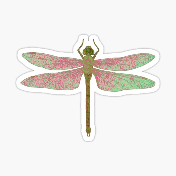 Green and Pink Dragonfly Sticker