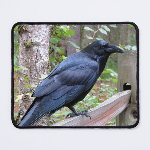 Item preview, Raven designed and sold by sharkbait83.