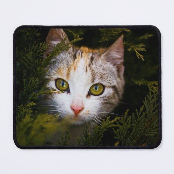 Item preview, Cat in Juniper Branches designed and sold by SquishStitches.