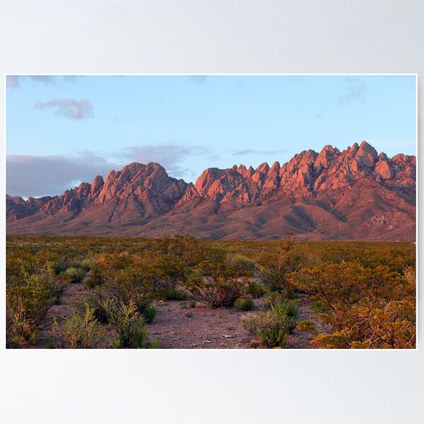 Organ Mountains At Sunset Poster