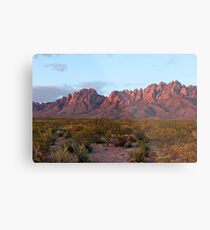 Organ Mountains At Sunset Metal Print