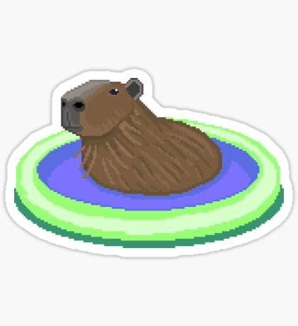 Capybara: Gifts & Merchandise | Redbubble