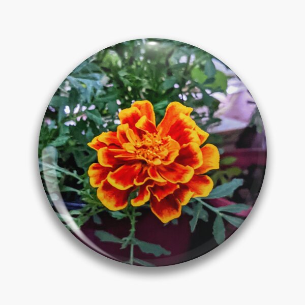 Item preview, Late Summer Marigold at Dusk designed and sold by arfff.