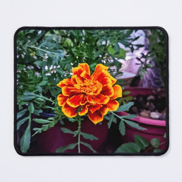Item preview, Late Summer Marigold at Dusk designed and sold by arfff.