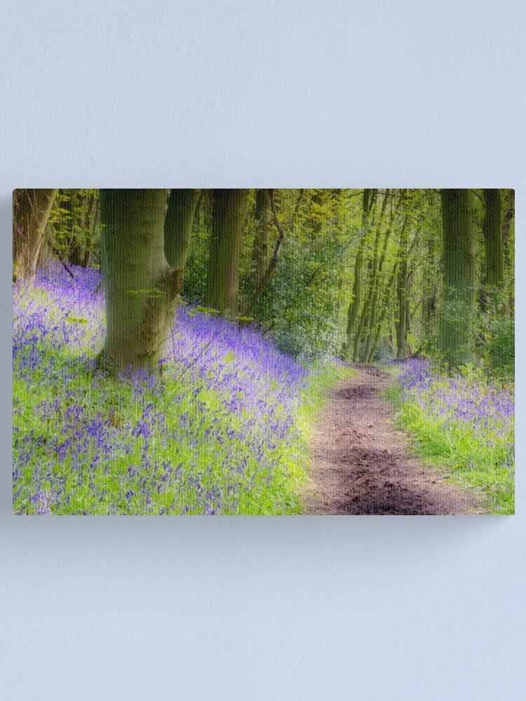 BLUEBELLS IN GREEN FOREST WALL ART CANVAS PRINT PICTURE VARIETY OF SIZES