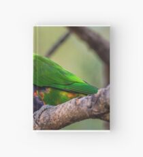 Rainbow Lorikeet Hardcover Journal