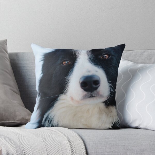 Artikelvorschau, Teddy, Border Collie entworfen und verkauft von thegreendogs.