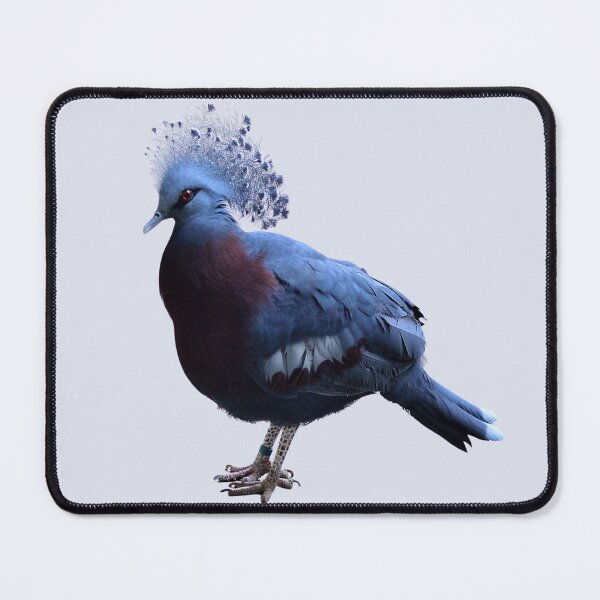 Item preview, Royal Crowned Pigeon designed and sold by RainbowSpinkle.