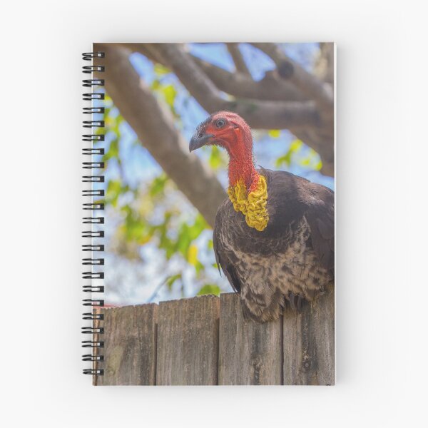 Item preview, Fence Sitter designed and sold by Jade Welch.