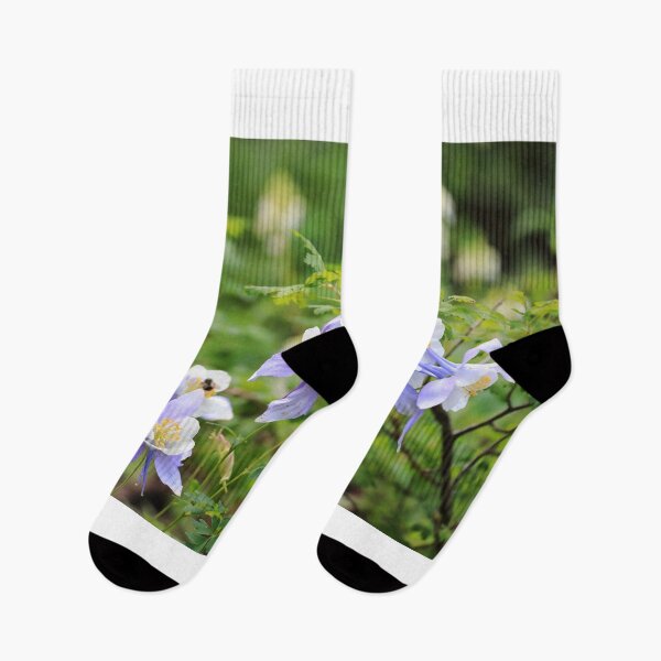 Item preview, Colorado blue columbines designed and sold by zumi.