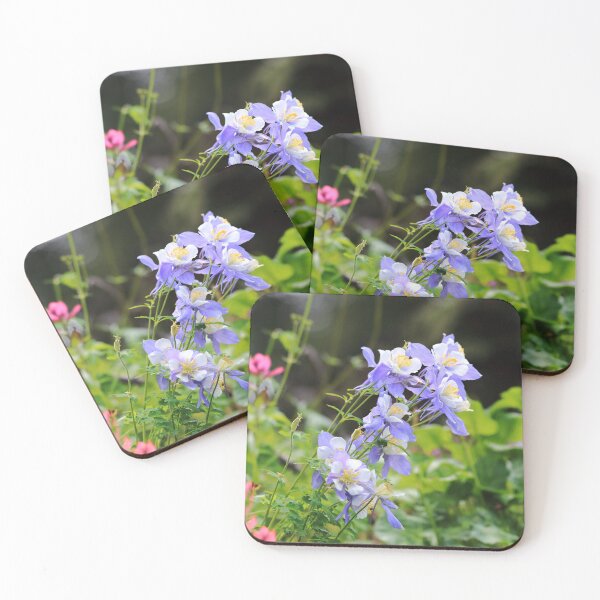 Item preview, Colorado blue columbines II designed and sold by zumi.