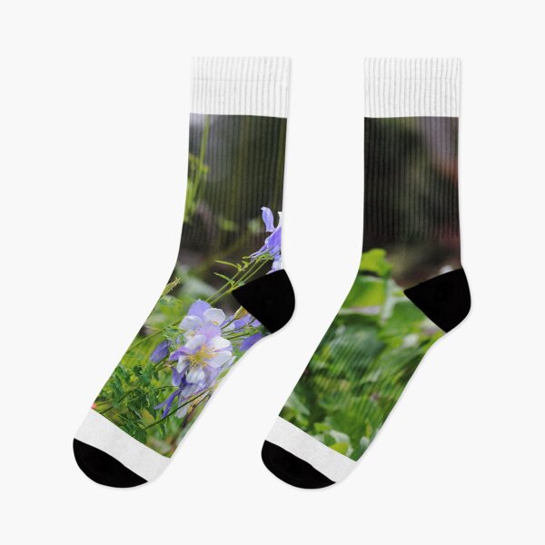 Item preview, Colorado blue columbines II designed and sold by zumi.