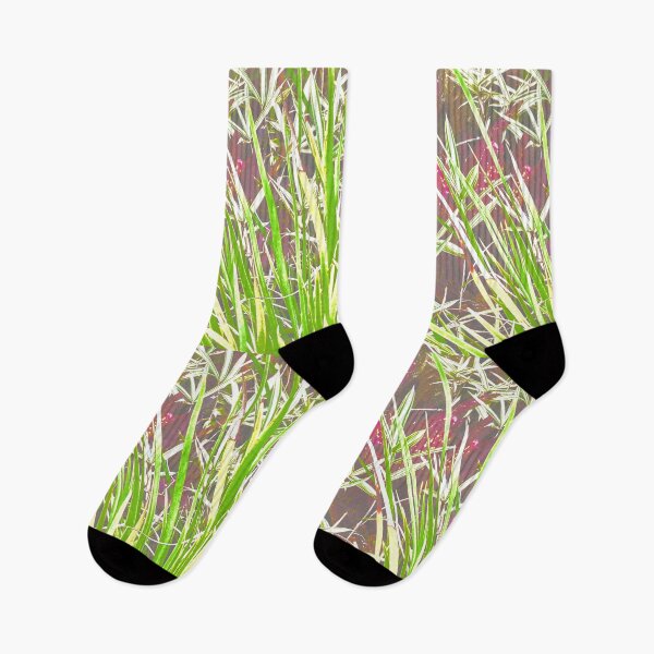Item preview, Tropical Garden designed and sold by TM Art.