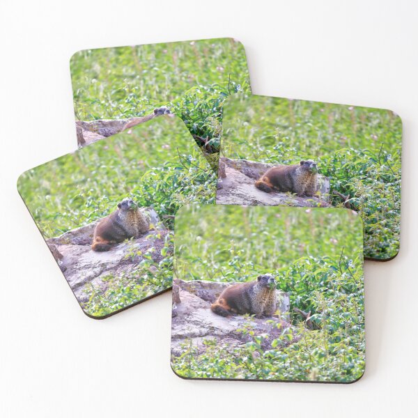 Item preview, Marmot mother designed and sold by zumi.