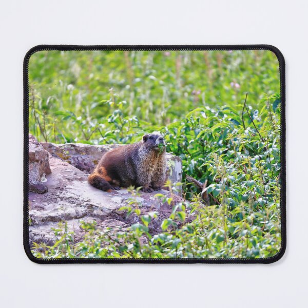 Item preview, Marmot mother designed and sold by zumi.