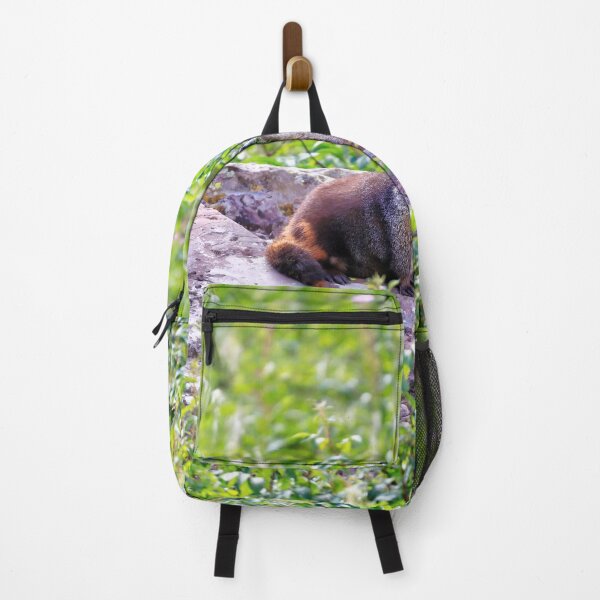 Item preview, Marmot mother designed and sold by zumi.