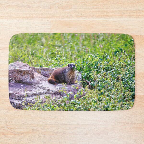 Item preview, Marmot mother designed and sold by zumi.