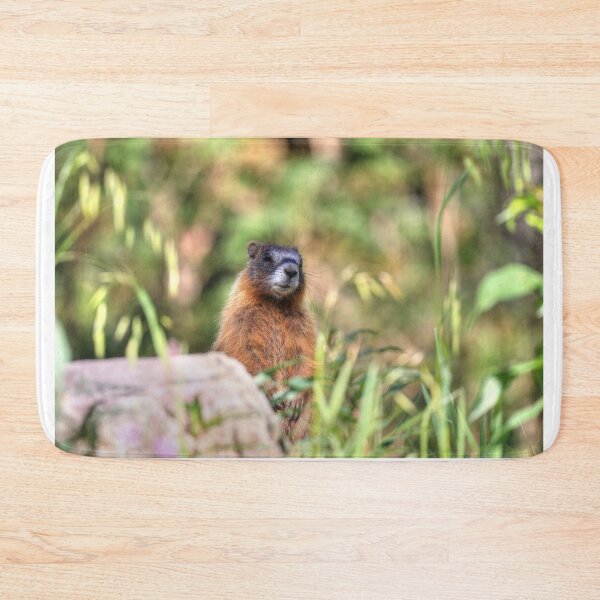 Item preview, Marmot youngster designed and sold by zumi.