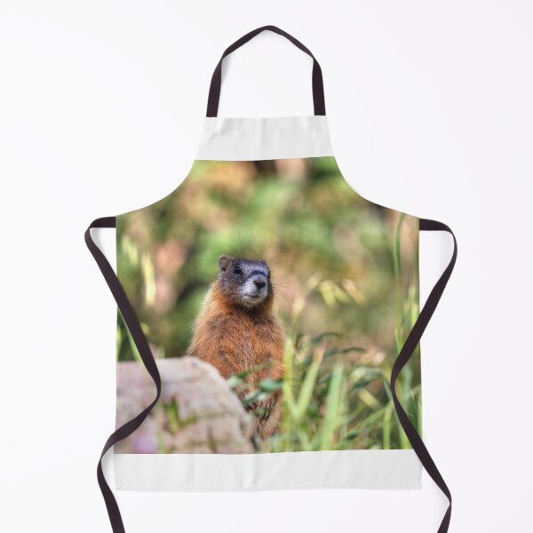 Item preview, Marmot youngster designed and sold by zumi.
