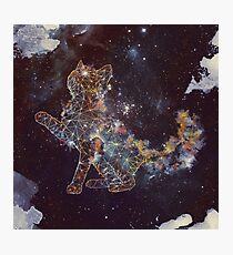 Celestial Cat Photographic Print