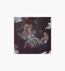 Celestial Cat Art Board