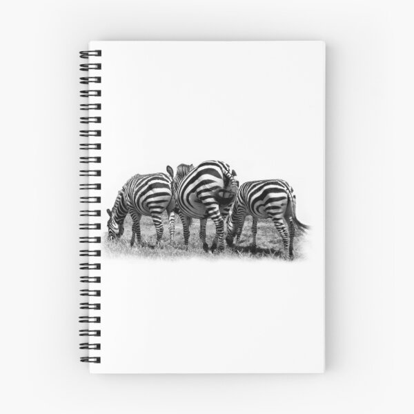 Item preview, Three Zebras in a Row designed and sold by jacqi.